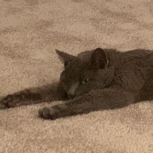 Meet your Posher, Lana